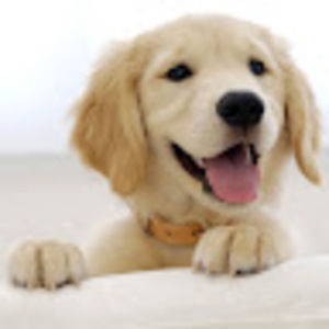 Meet your Posher, Kylie